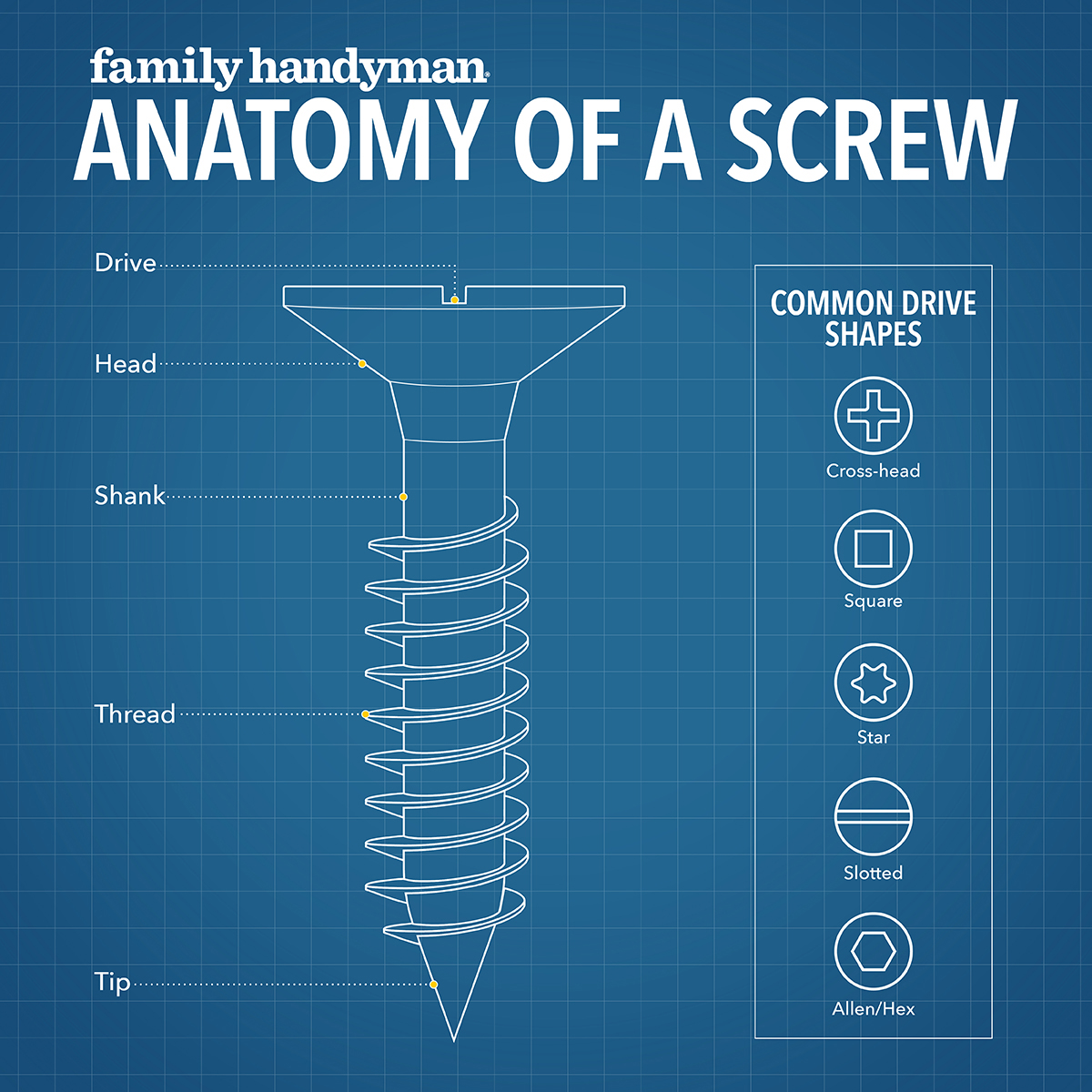 Anatomy of a Screw infographic