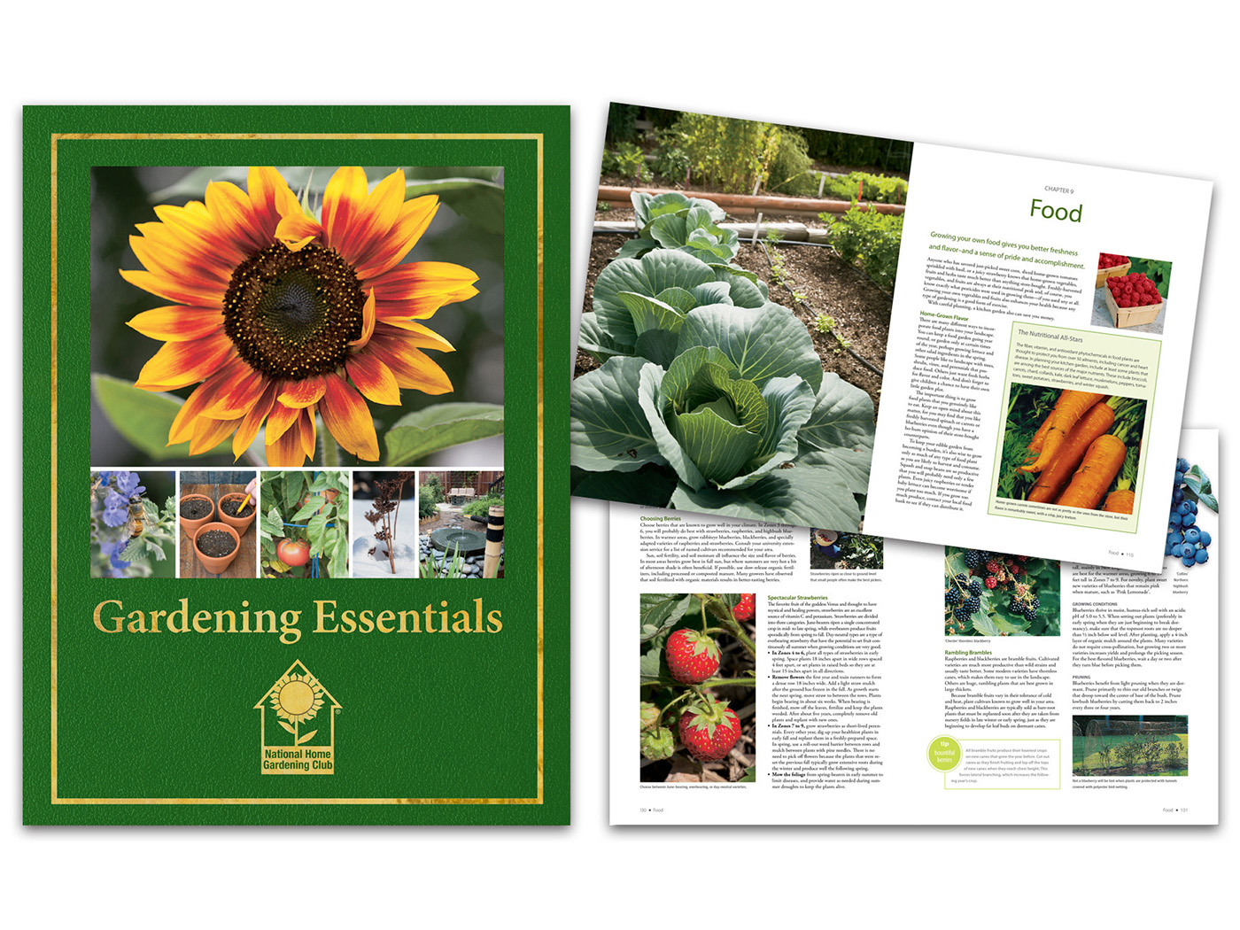Gardening Essentials interior layout
