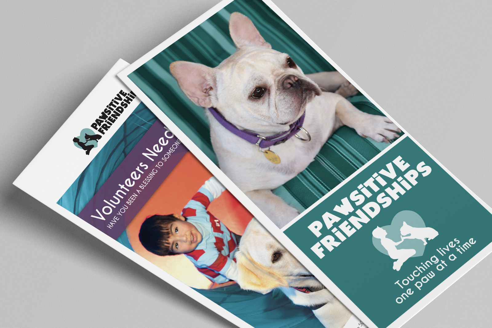 Pawsitive Friendships Brochures